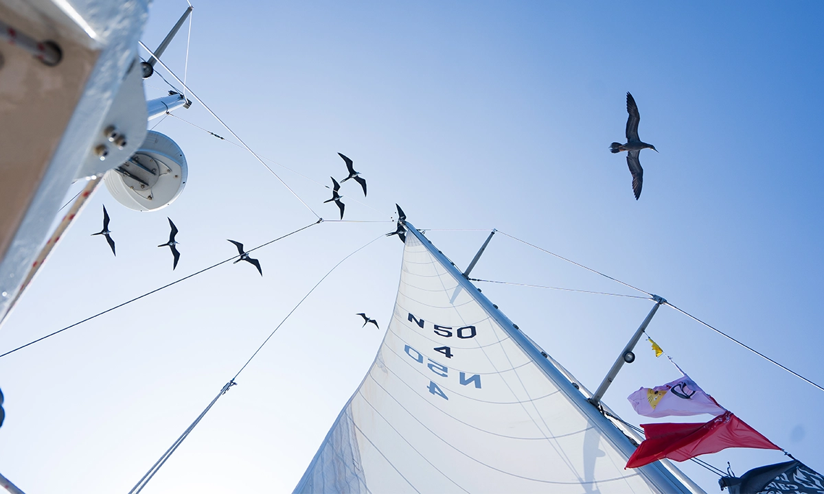 Voiles du bateau