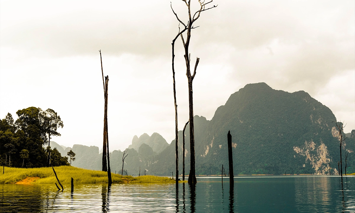 Khao Sok, Thailande