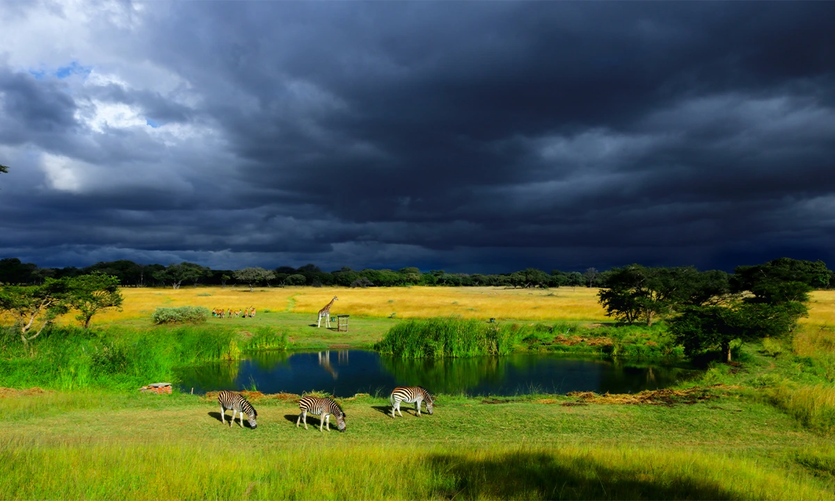 Mana Pools, Zimbabwe