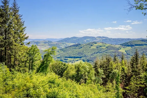 Monts du Lyonnais