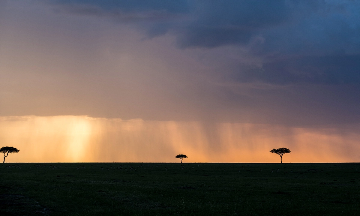 Serengeti, Tanzanie