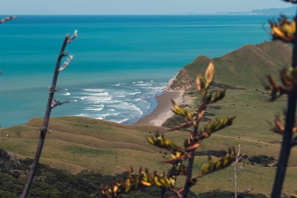 Te araroa trail nouvelle zelande