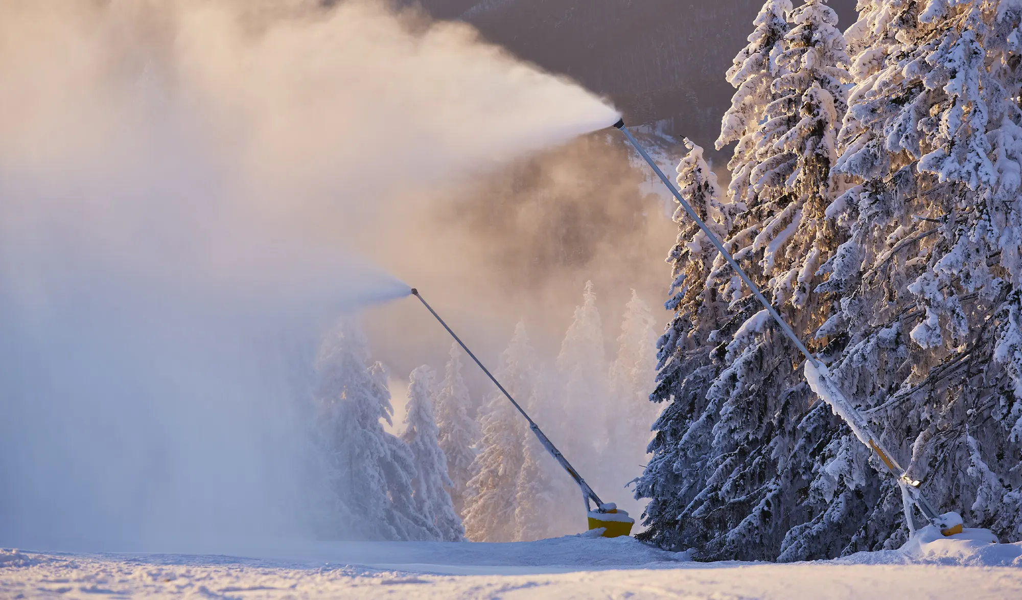 Canons à neige