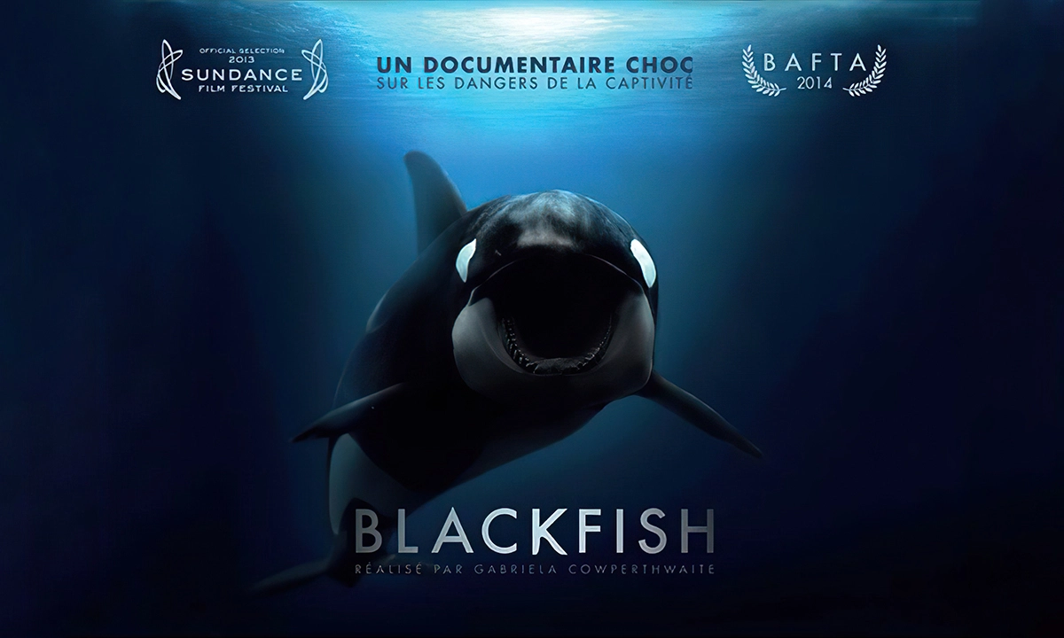 Blackfish