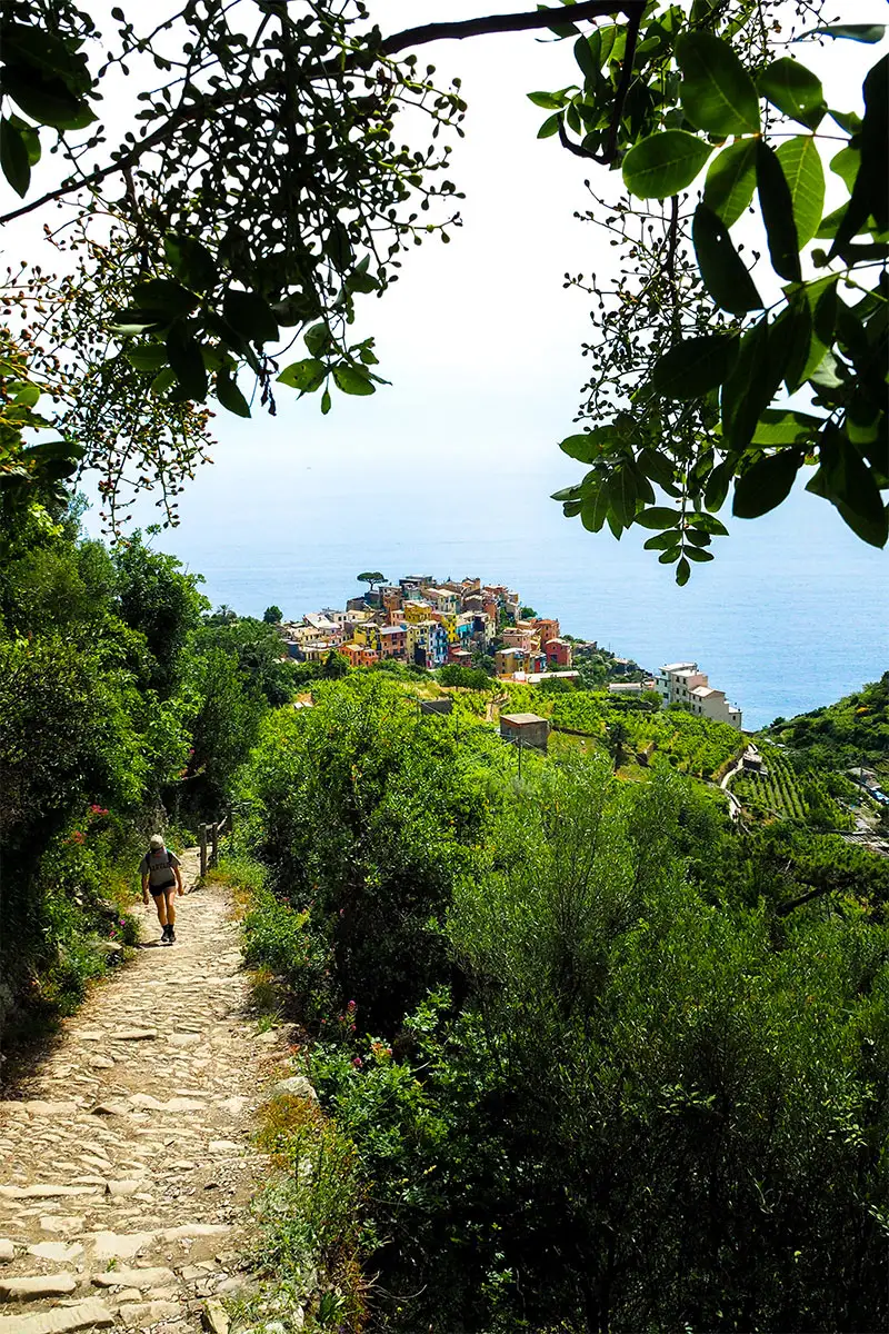 Chemin des Cinq Terres