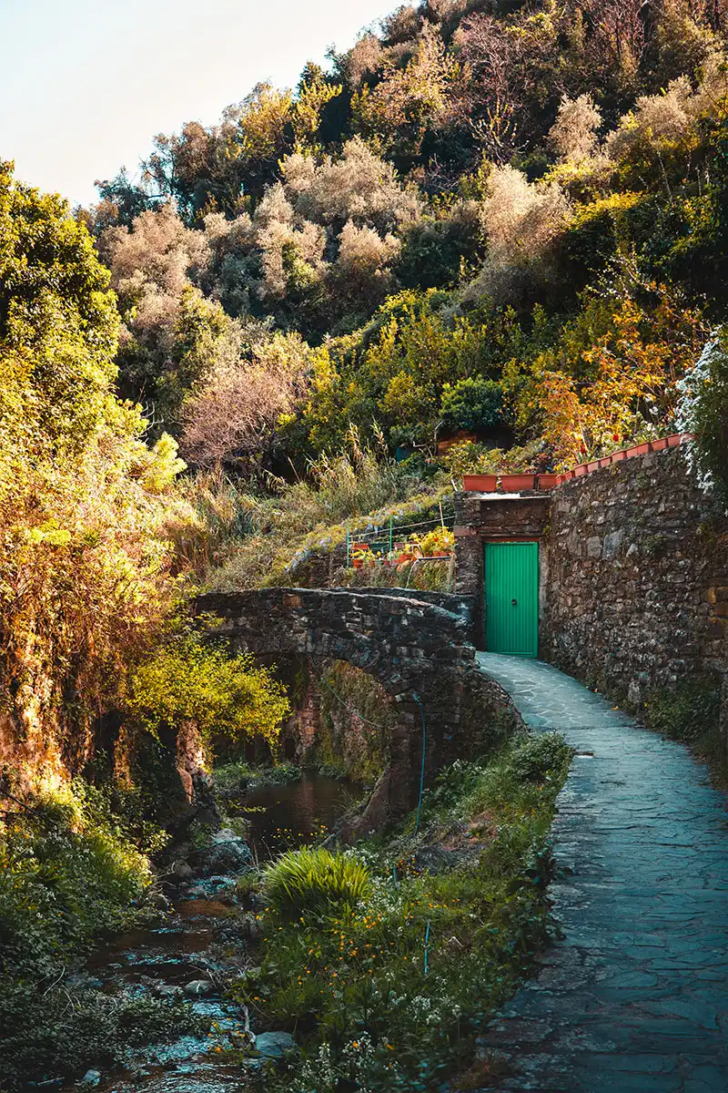 Chemin des Cinq Terres