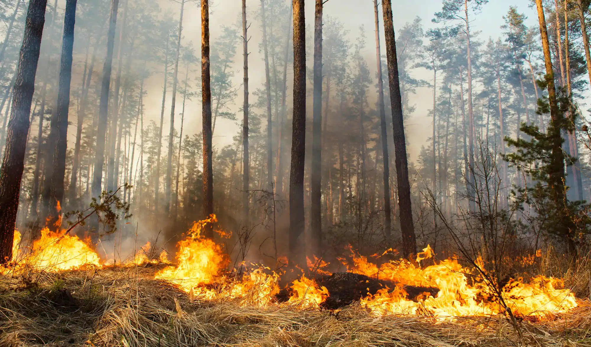 Incendie