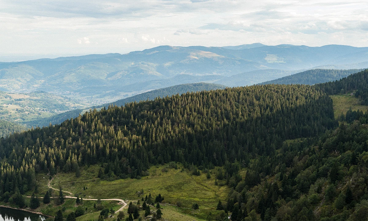 Montagnes des Vosges