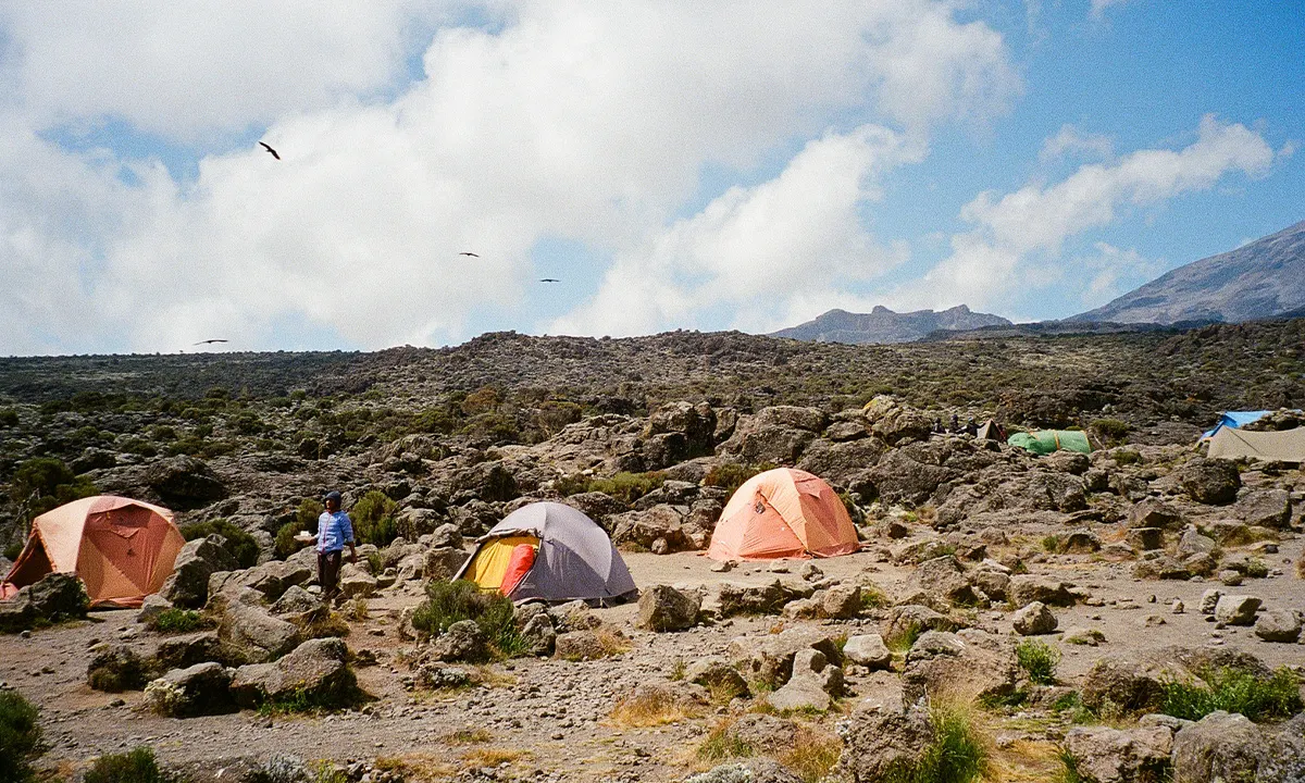 camp - Expédition Kilimandjaro 2022 APART