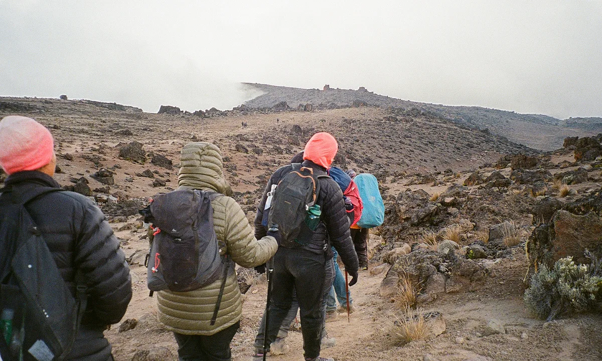 Marche groupe - Expédition Kilimandjaro 2022 APART