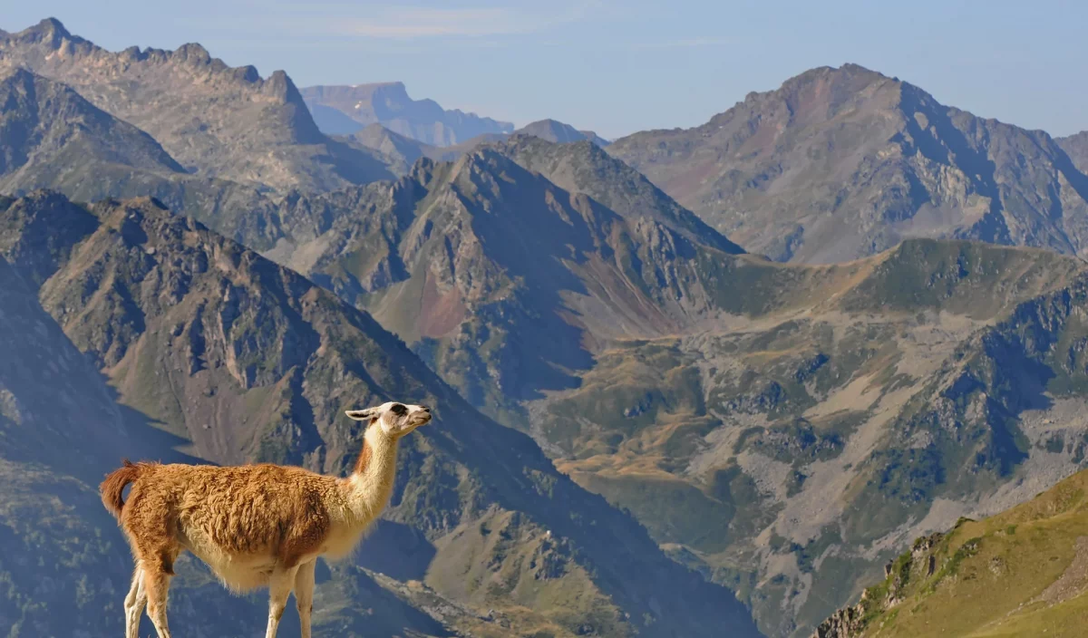 Grand Raid des Pyrénées