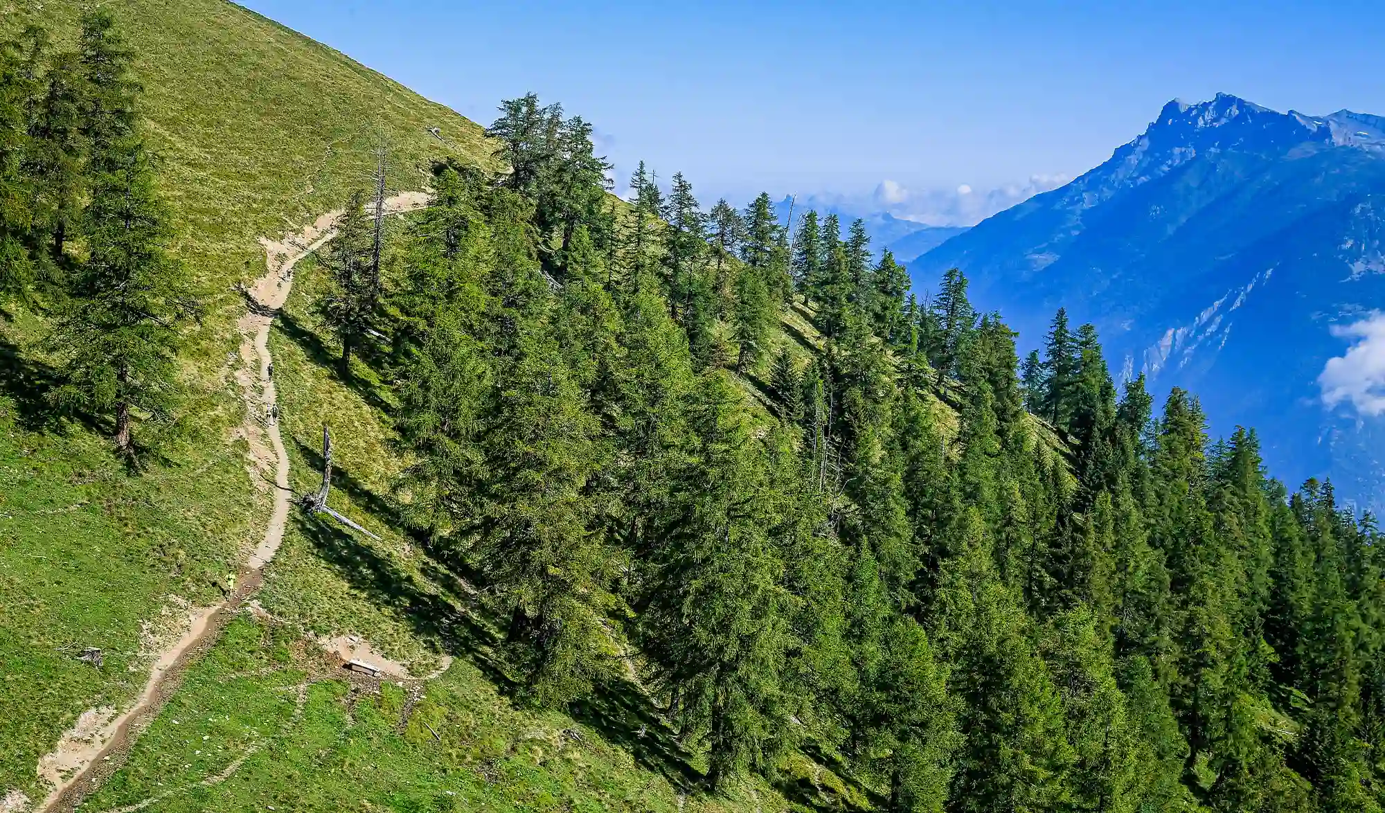 UTMB 2021 paysage