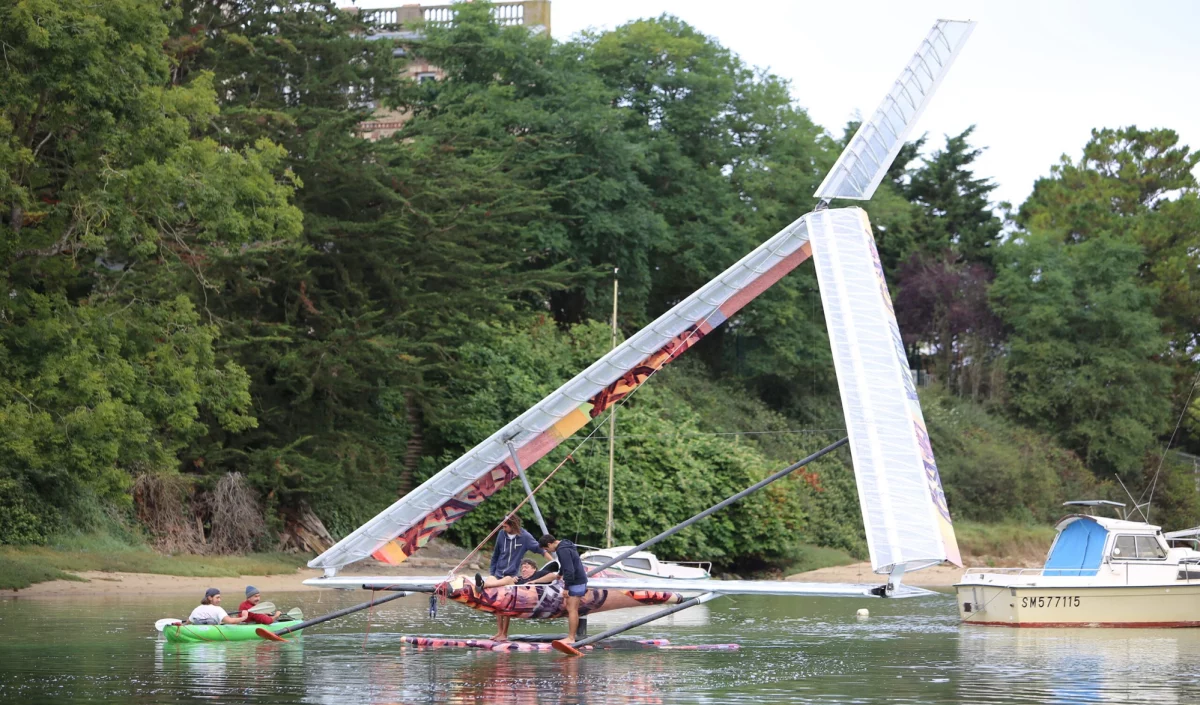 Odonate planeur a voile