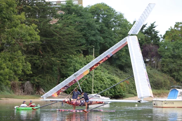 Odonate planeur a voile