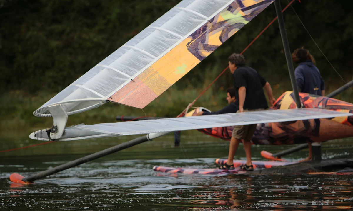 Odonate planeur a voile