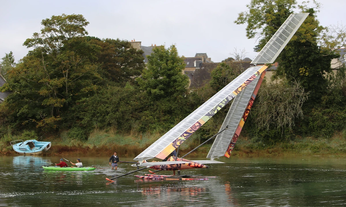Odonate planeur a voile
