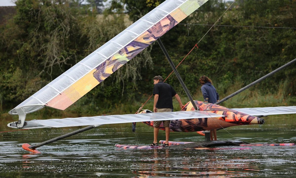 Odonate planeur a voile