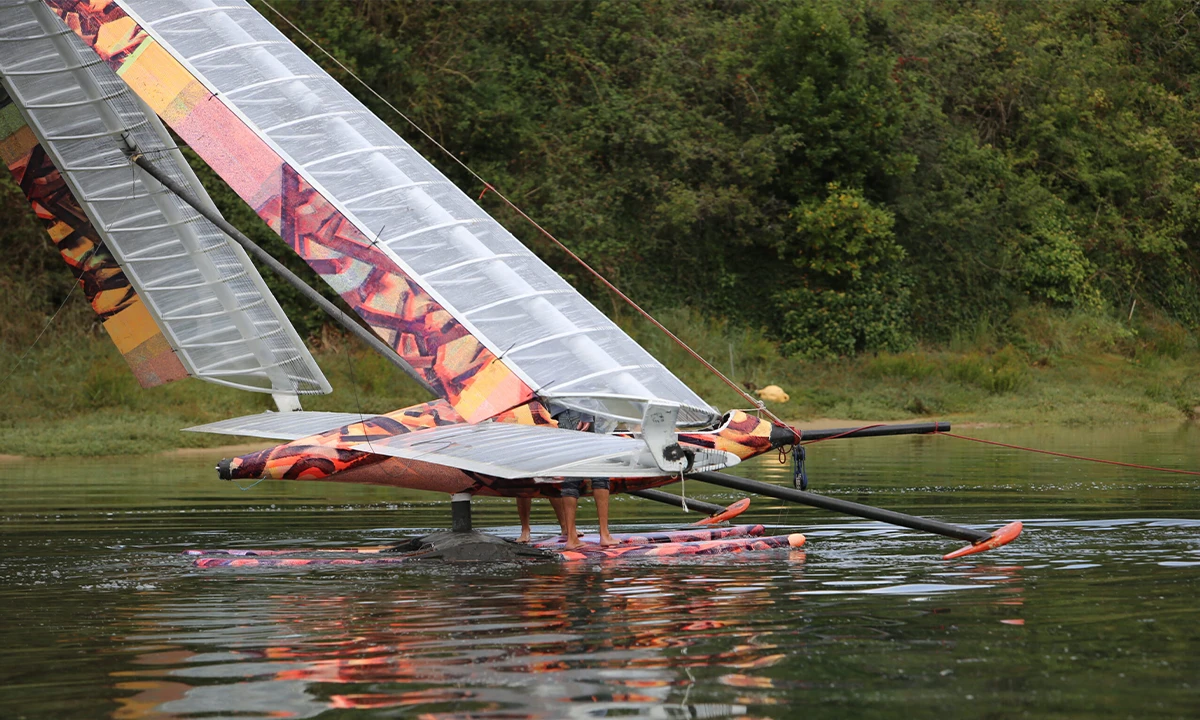 Odonate planeur a voile