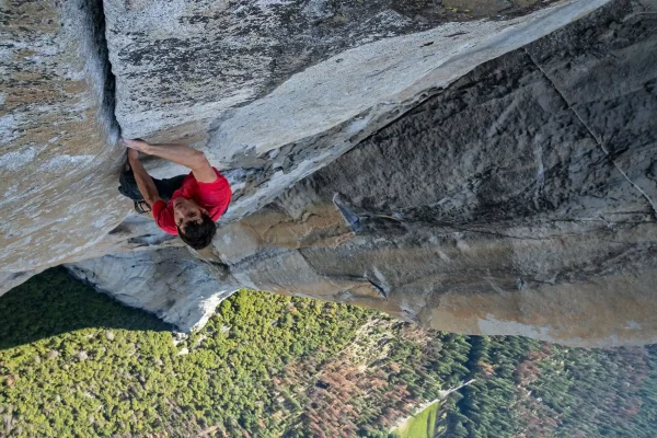 Free Solo Alex Honnold