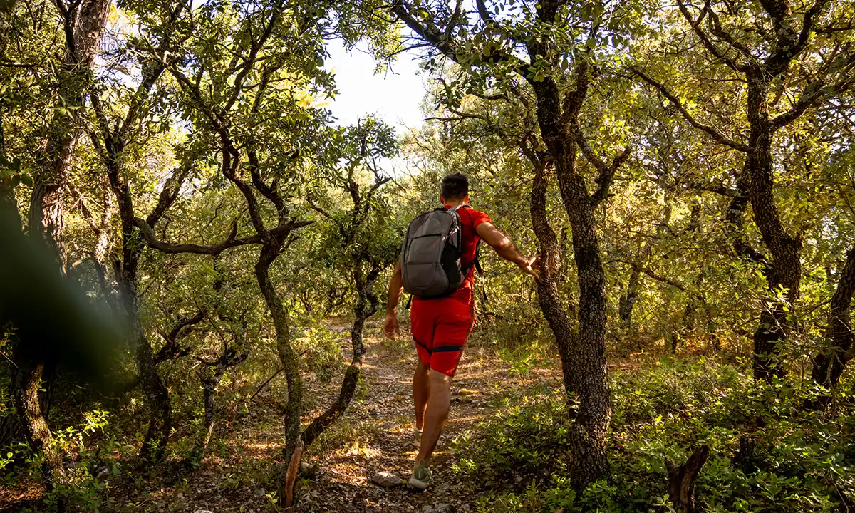 Grand Avignon micro aventure