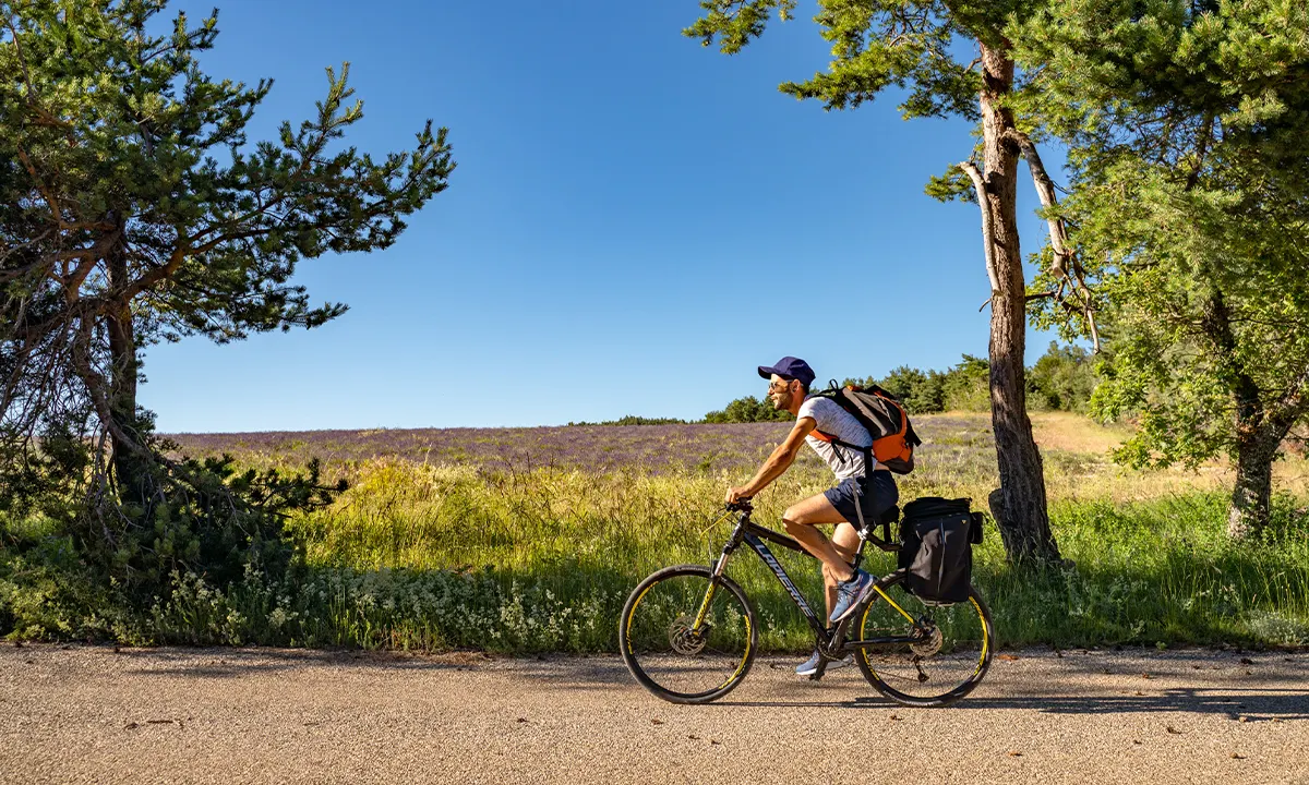 Grand Avignon micro aventure