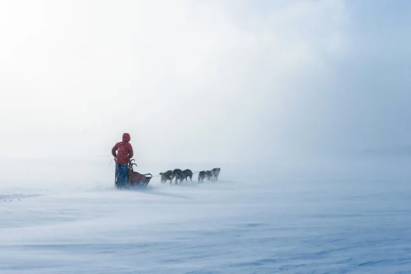 Lucas Lepage mushing