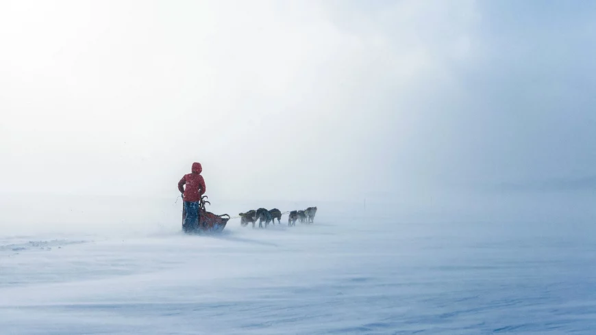 Lucas Lepage mushing