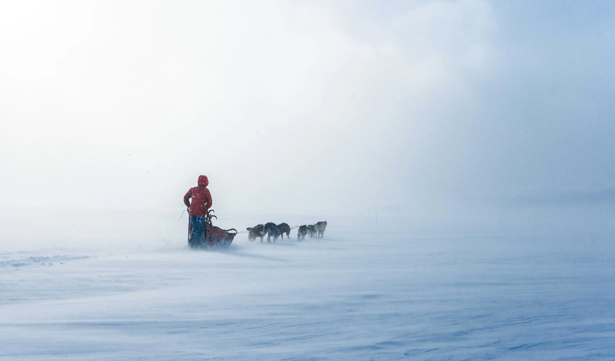 Lucas Lepage mushing