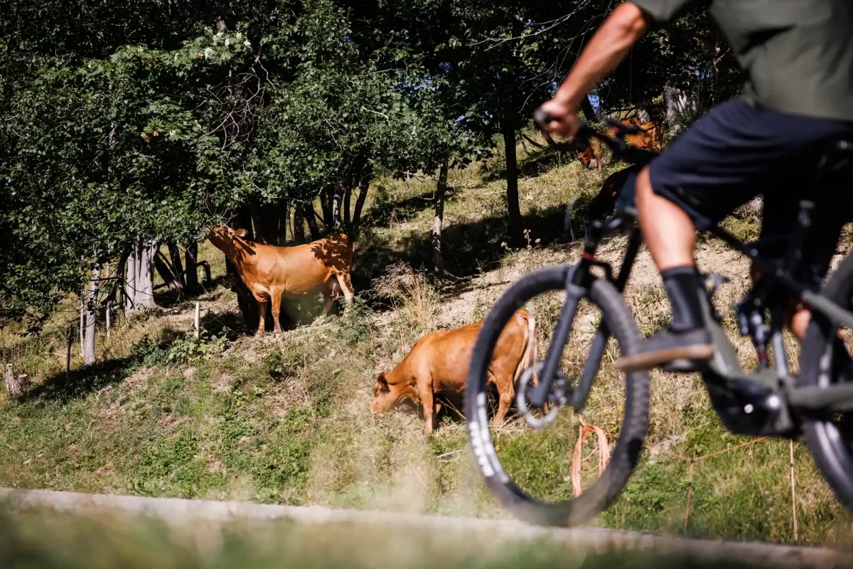 VTT à Saint-François Longchamp