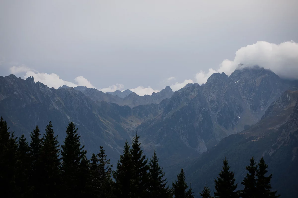 Paysage de Saint-François Longchamp