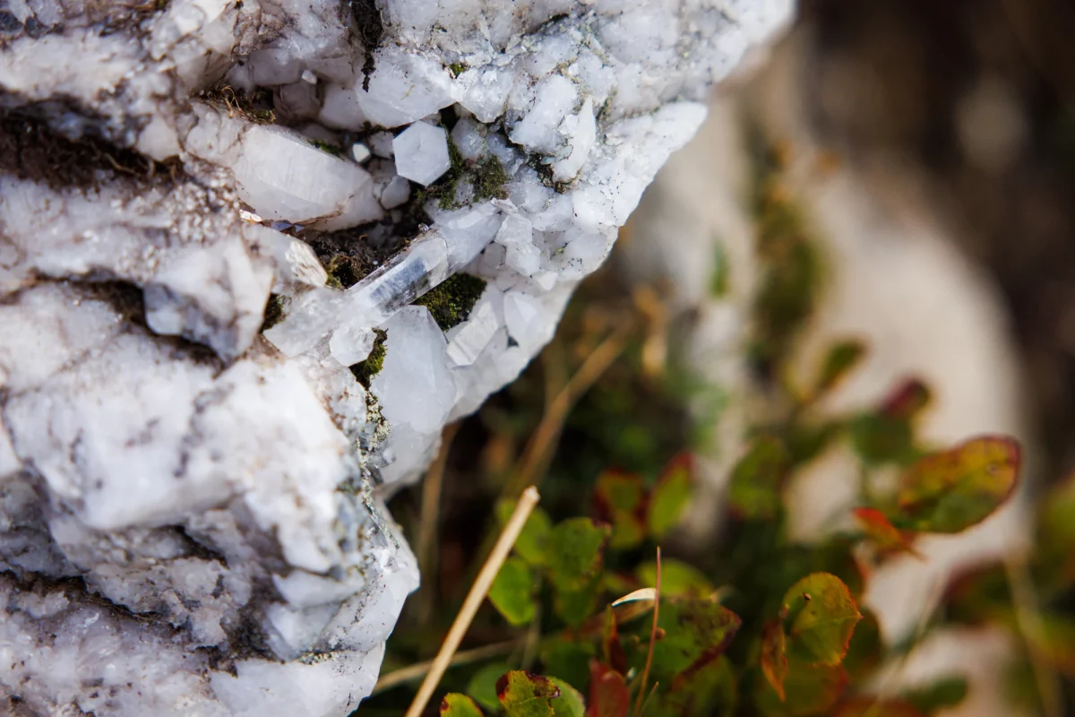 Quartz Saint-François Longchamp