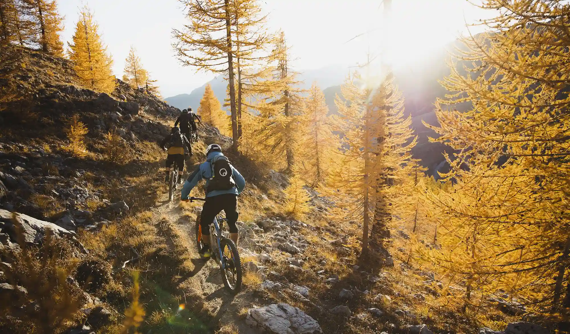 Forêt Queyras automne