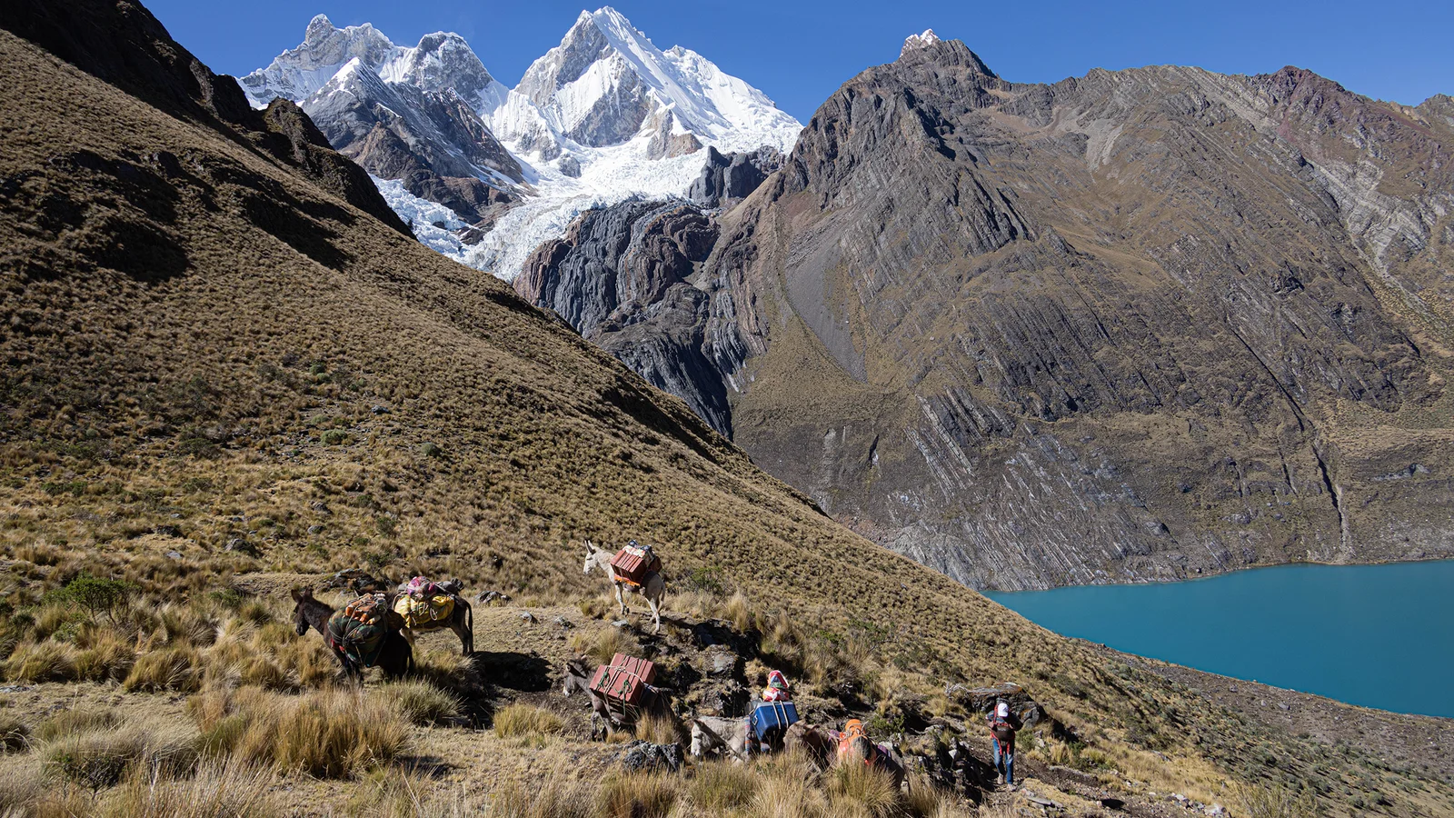 Trek Cordillera Huayhuash Pérou