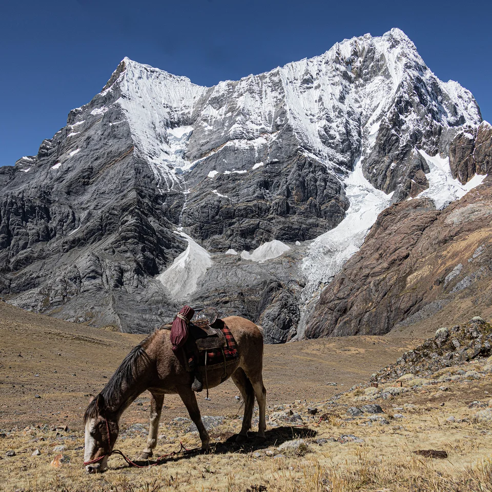 Trek Cordillera Huayhuash Pérou