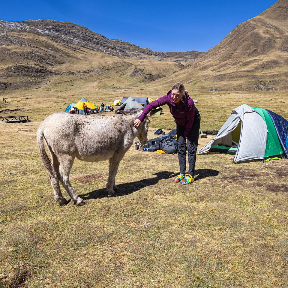 Trek Cordillera Huayhuash Pérou