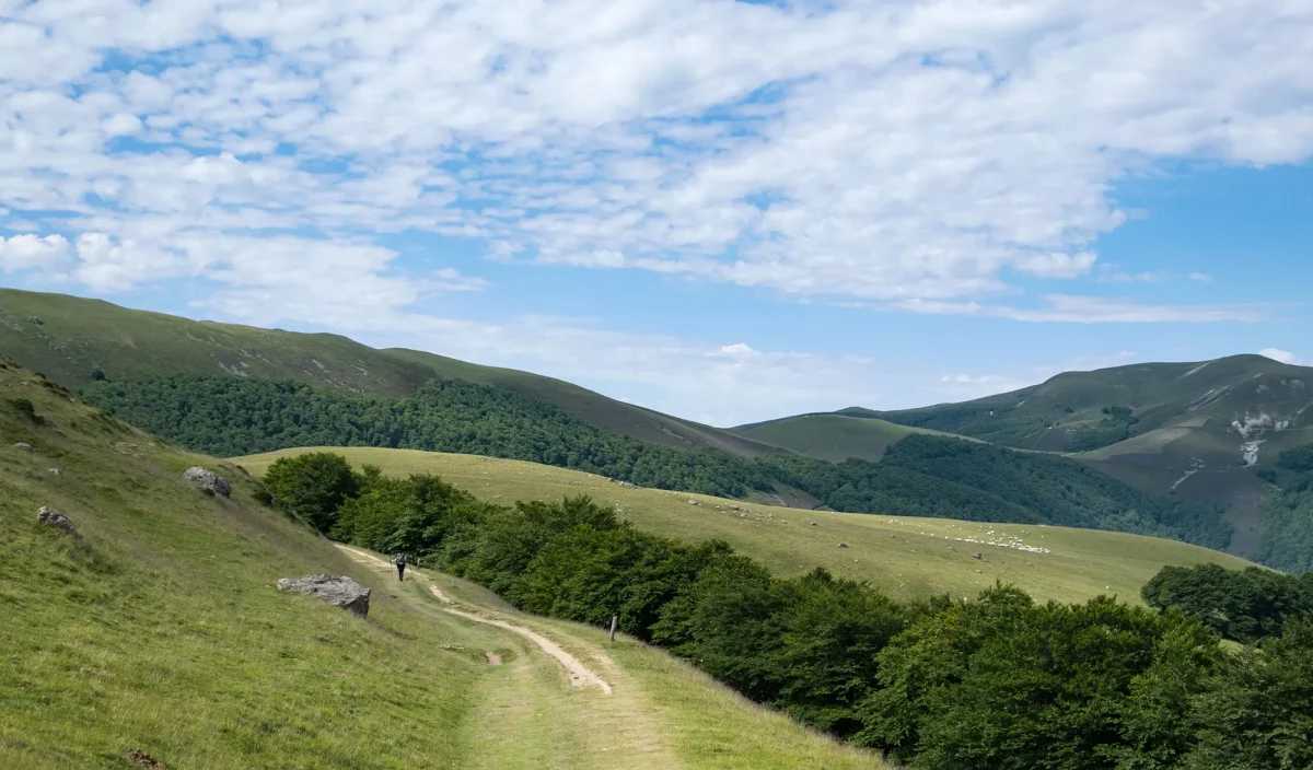 Les chemins de Compstelle, pays Basque