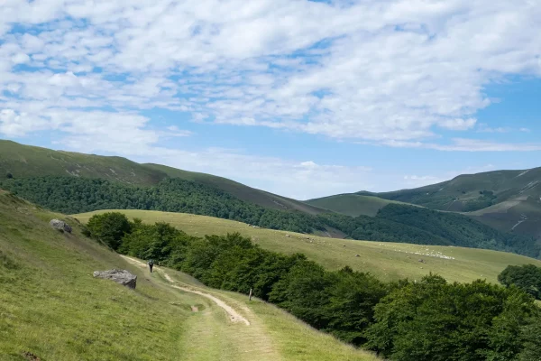 Les chemins de Compstelle, pays Basque