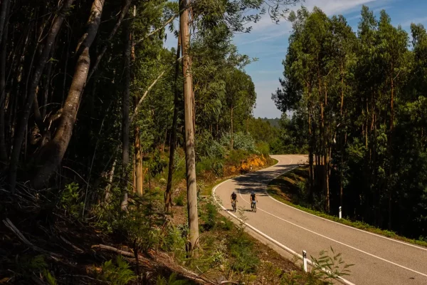 Gravel, le Portugal du Nord au Sud - atelier velocidade