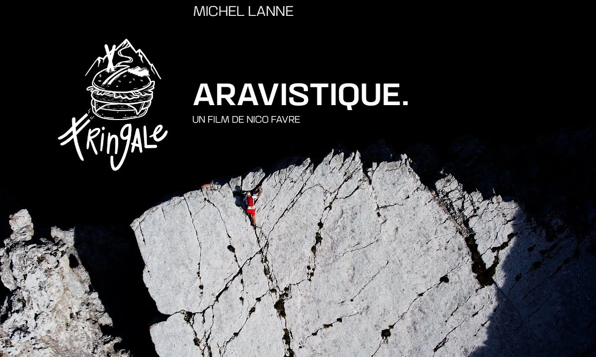 Fringale Aravistique