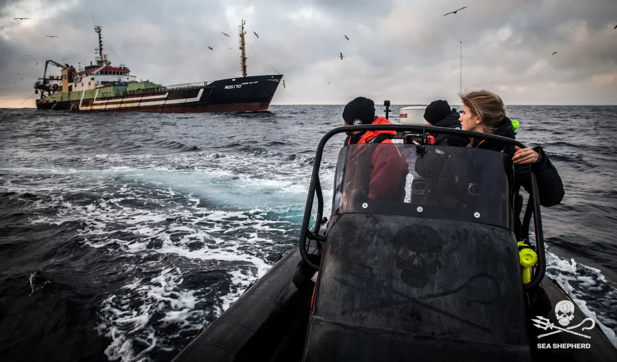 Action Sea Shepherd