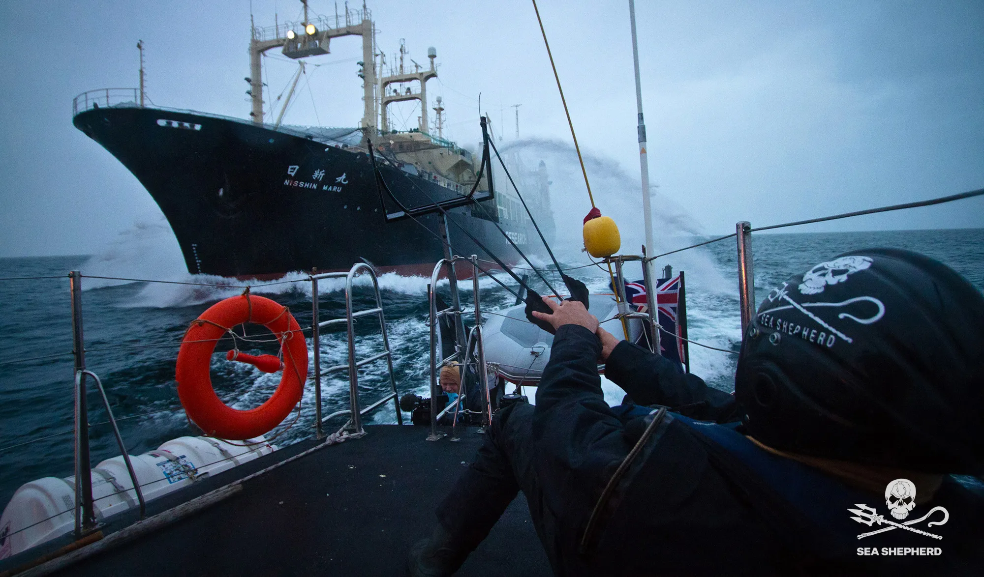 Action Sea Shepherd