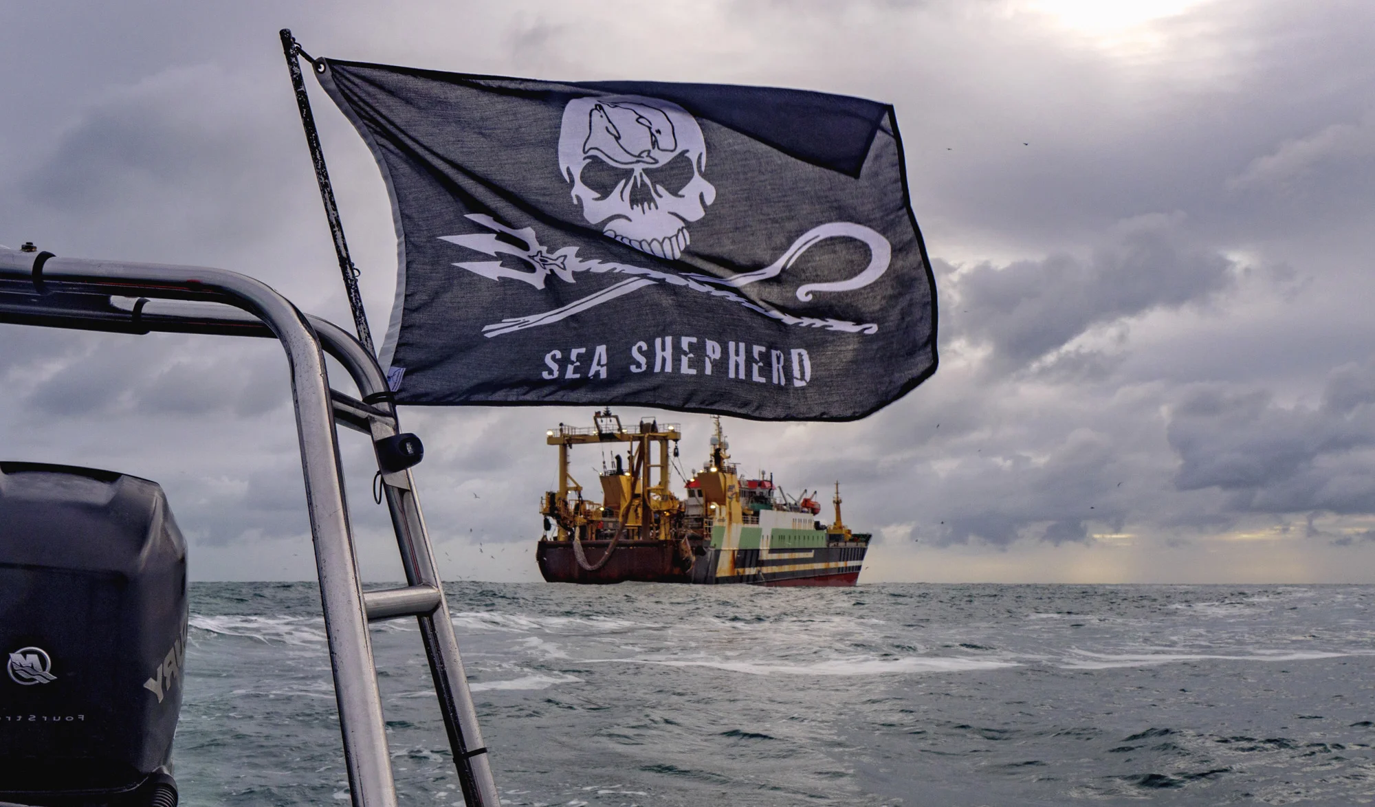 Drapeau Sea Shepherd