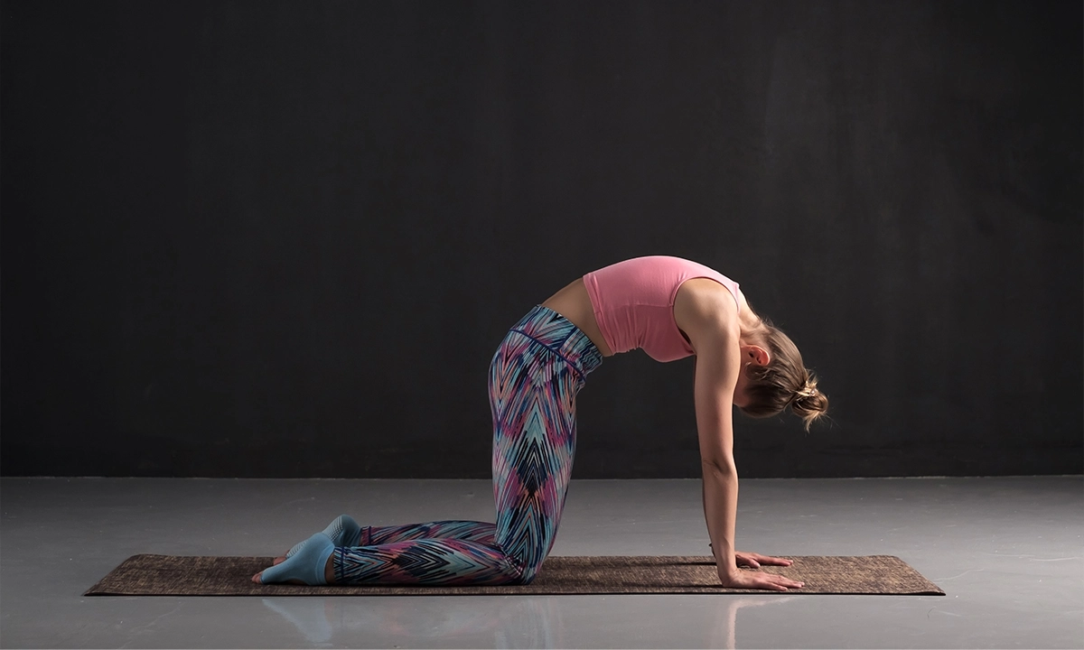 Marjaryasana
