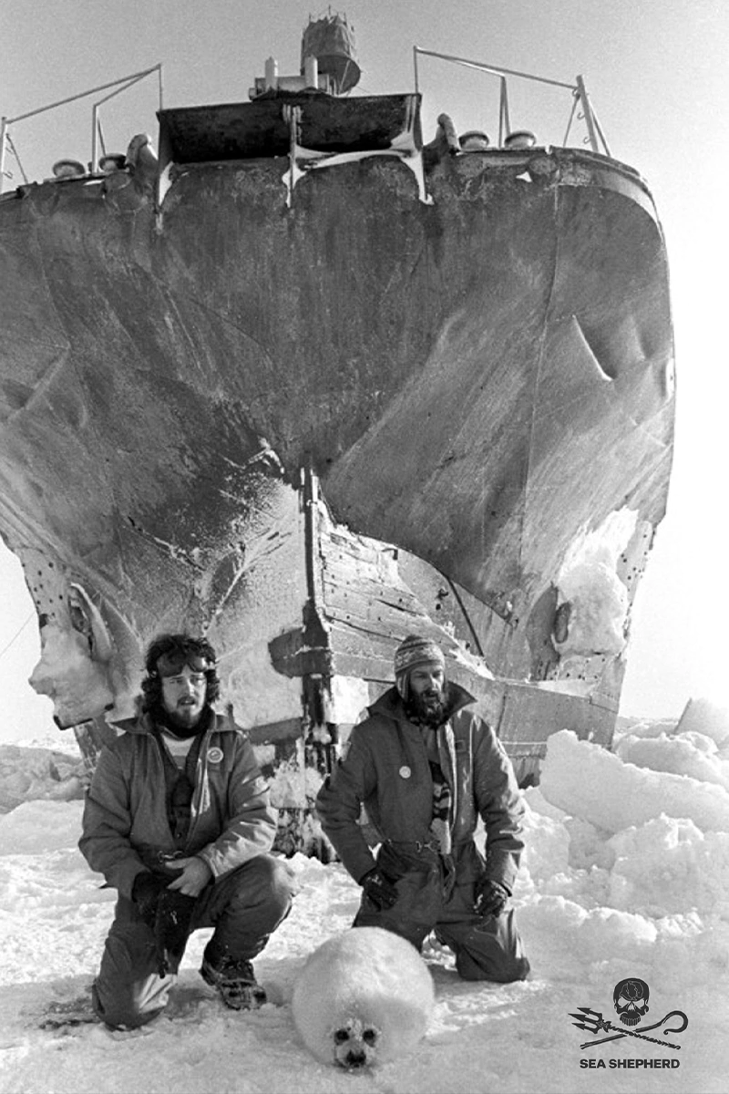 Paul Watson Sea Shepherd