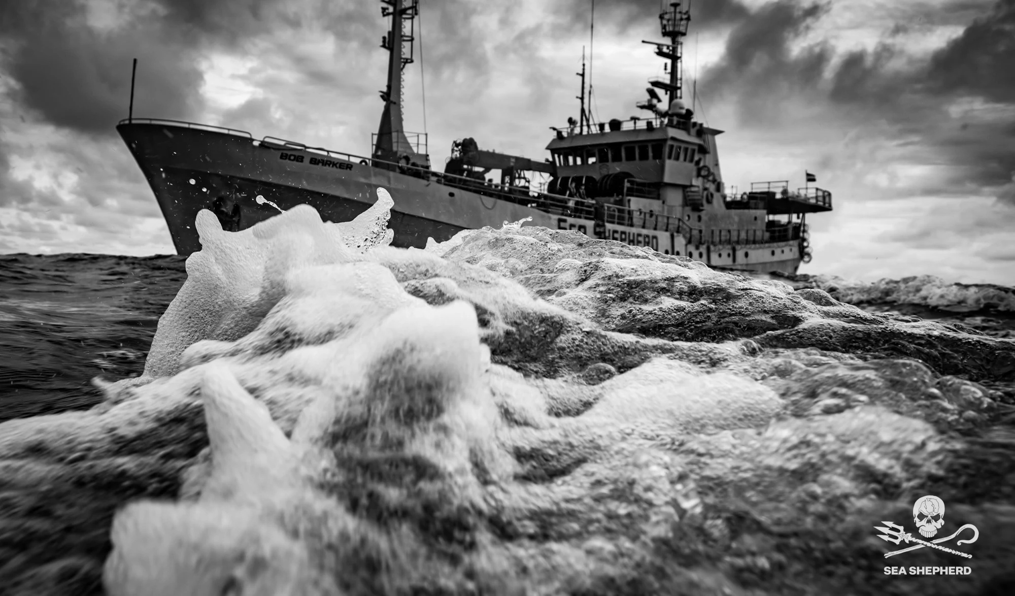 Bateau Sea Shepherd