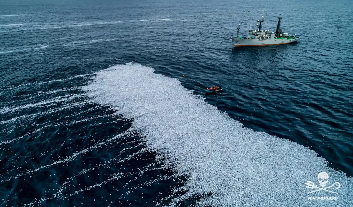 Pollution Sea Shepherd