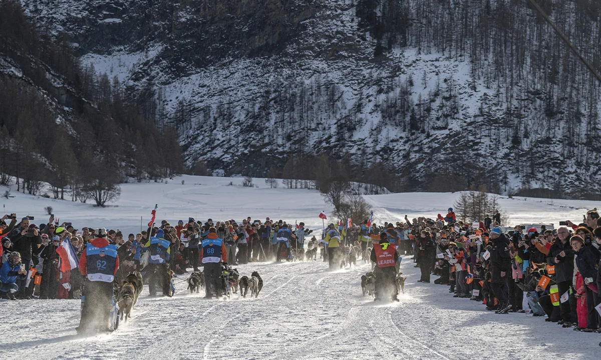 Rémy Coste musher La Grande Odyssée