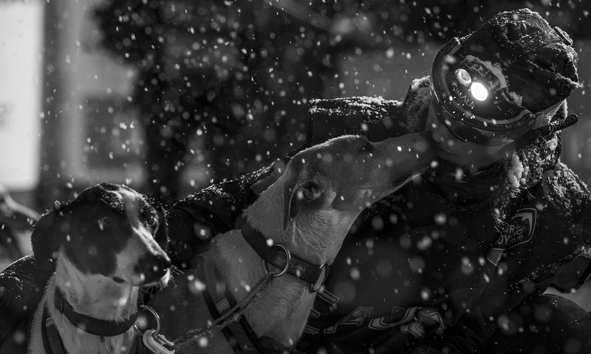 Rémy Coste musher La Grande Odyssée