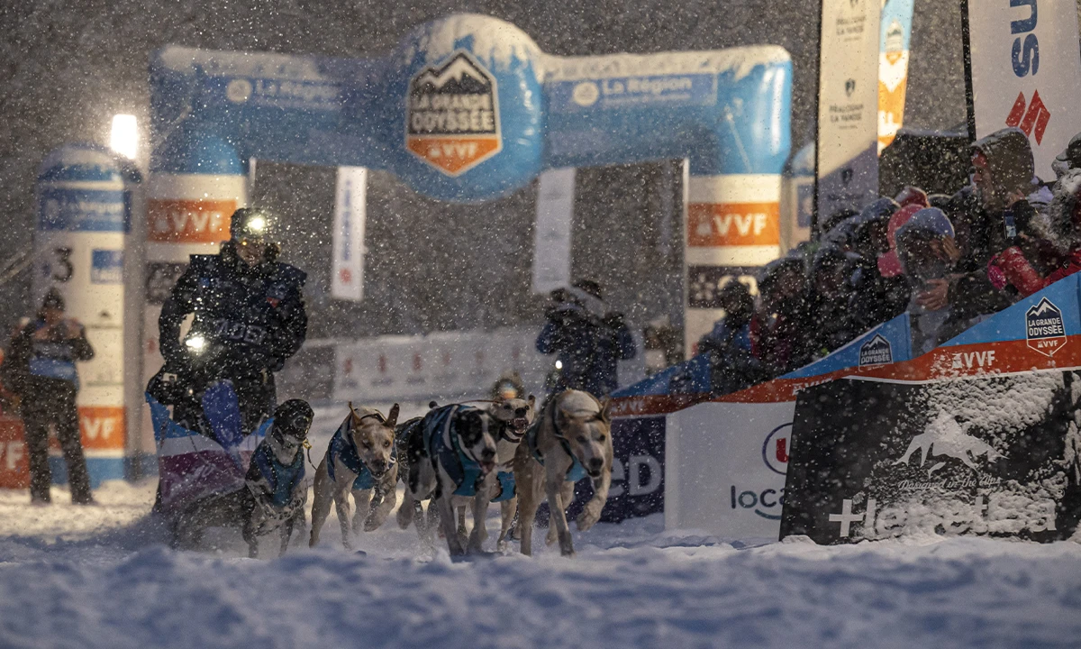 Rémy Coste musher La Grande Odyssée