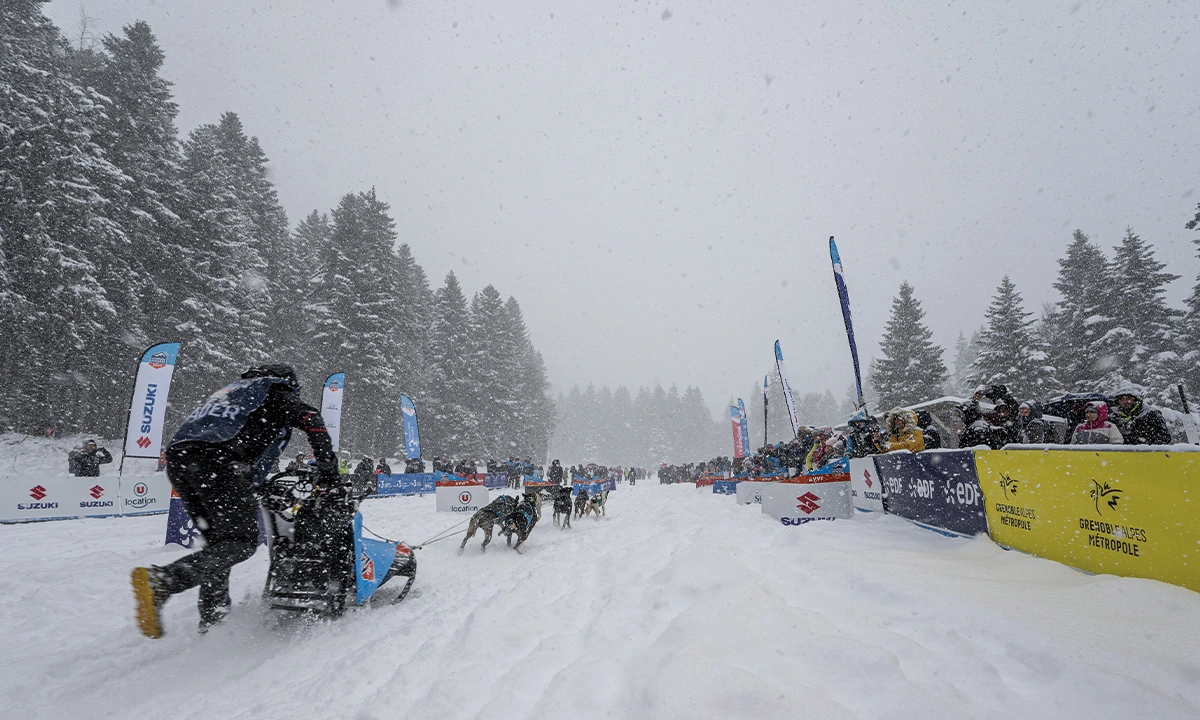 Rémy Coste musher La Grande Odyssée